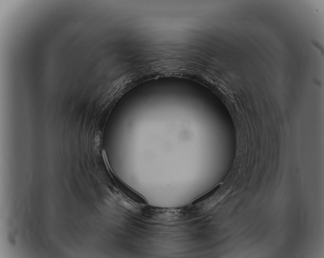 X0000092320288200709141057