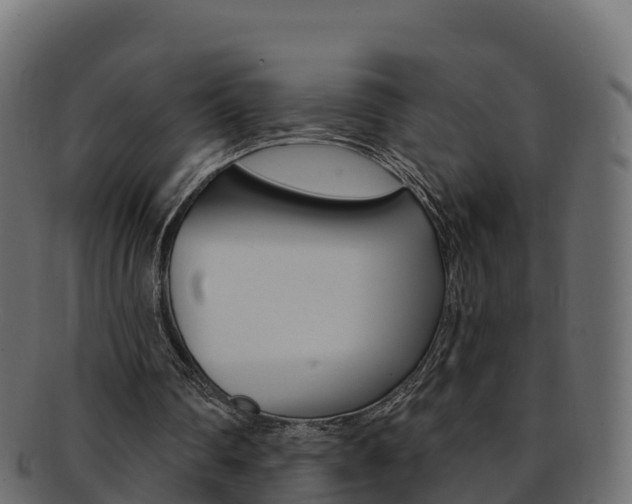 X0000092320290200709141056