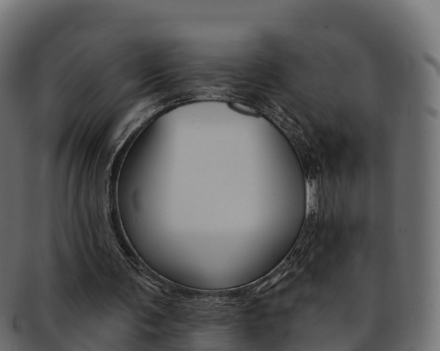X0000092320291200709141056
