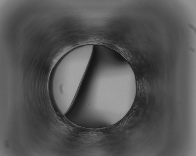 X0000092320292200709141056