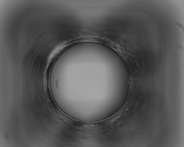 X0000092320294200709141056