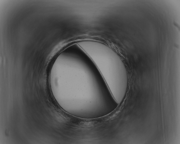 X0000092320295200709141056