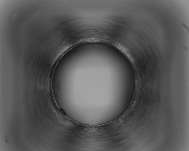 X0000092320297200709141056