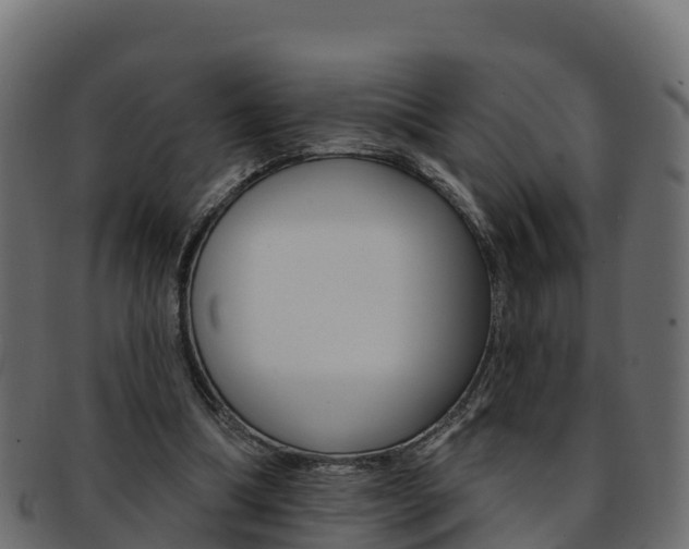 X0000092320298200709141056