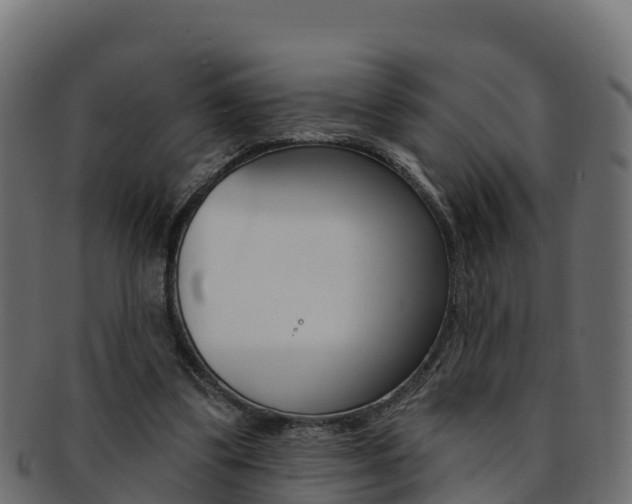 X0000092320299200709141056