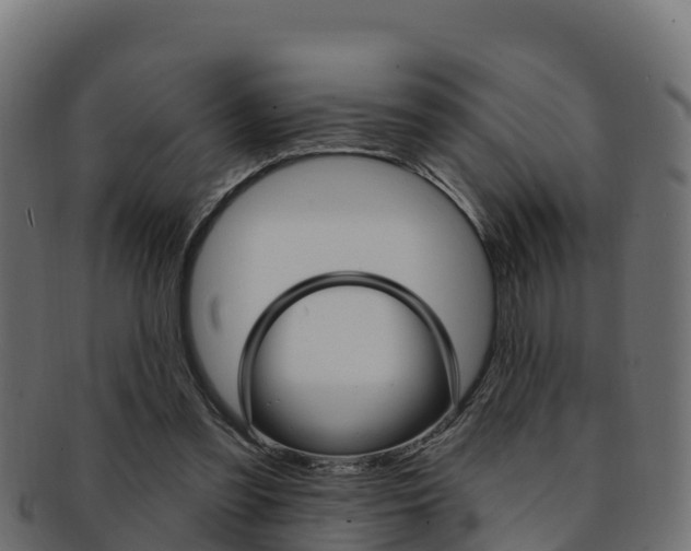 X0000092320301200709141056