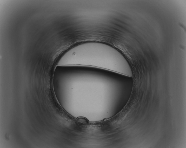 X0000092320303200709141056