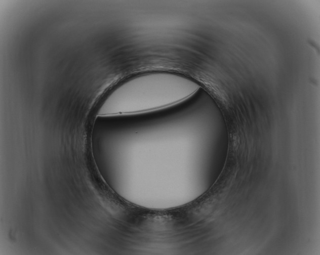 X0000092320304200709141056