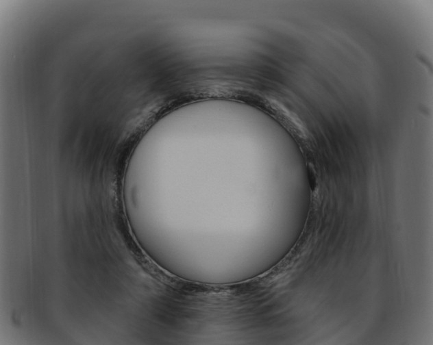 X0000092320306200709141056