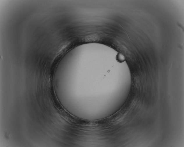 X0000092320308200709141056