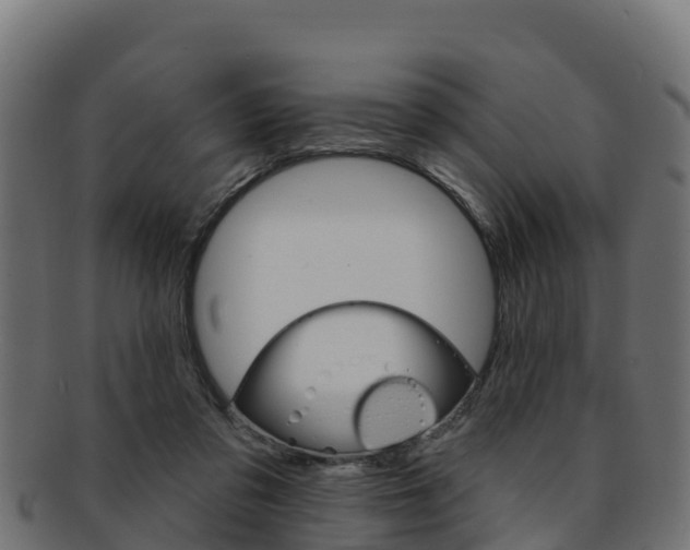 X0000092320309200709141056
