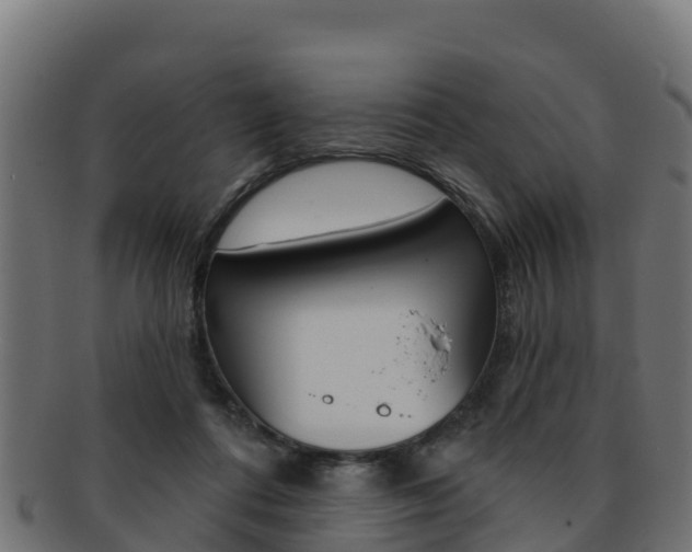 X0000092320312200709141056