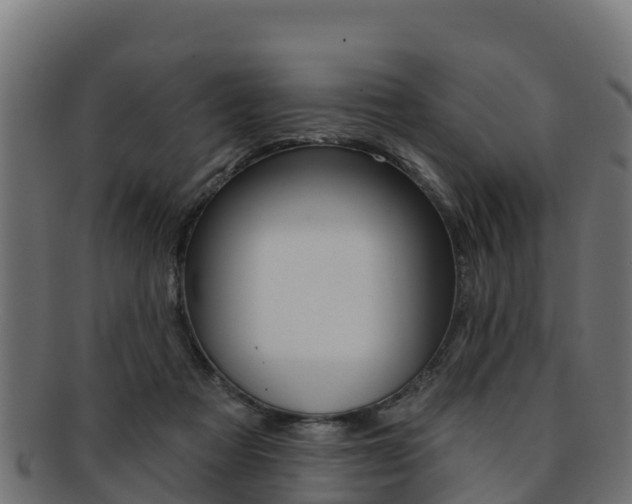 X0000092320313200709141056