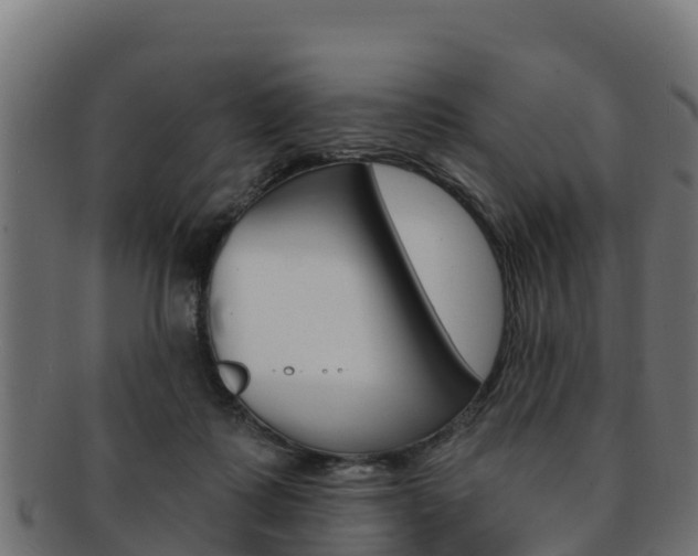 X0000092320315200709141056
