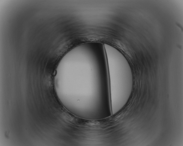 X0000092320317200709141056