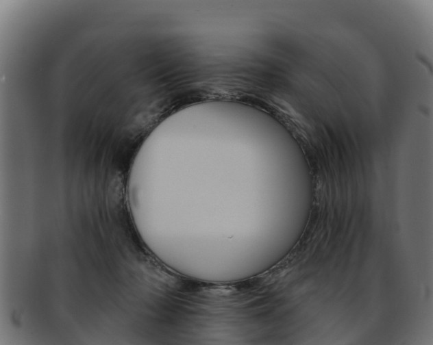 X0000092320318200709141056