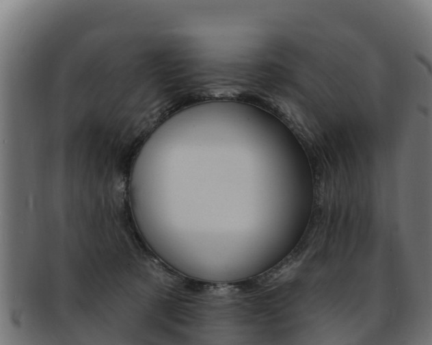 X0000092320321200709141056