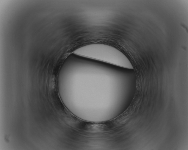 X0000092320323200709141056