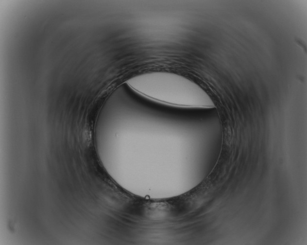 X0000092320324200709141056
