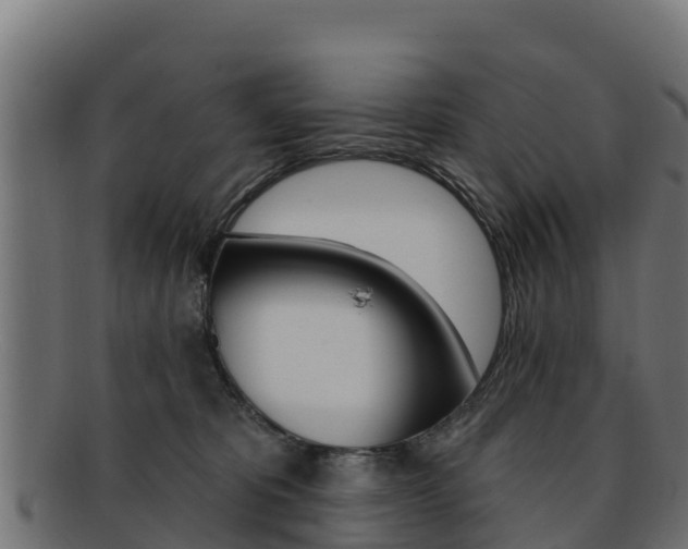 X0000092320325200709141056
