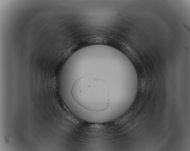 X0000092320326200709141056