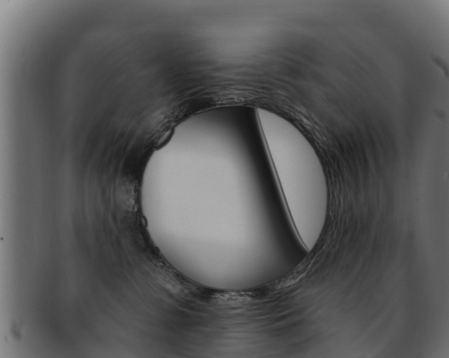 X0000092320331200709141056