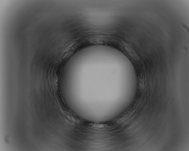 X0000092320332200709141056