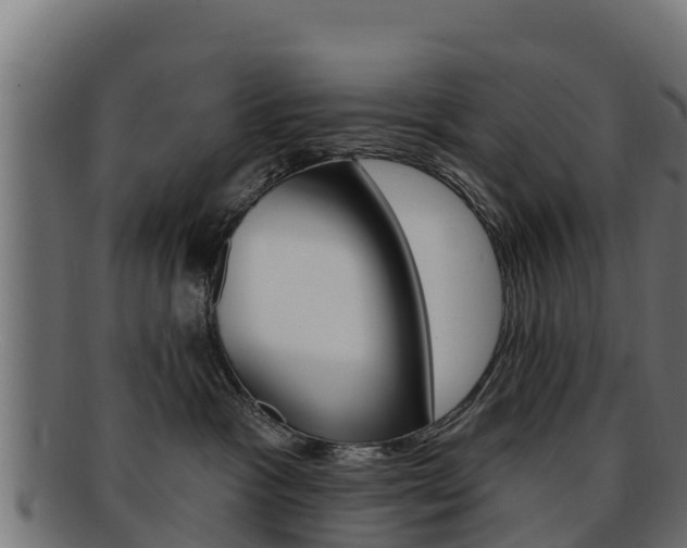 X0000092320333200709141055