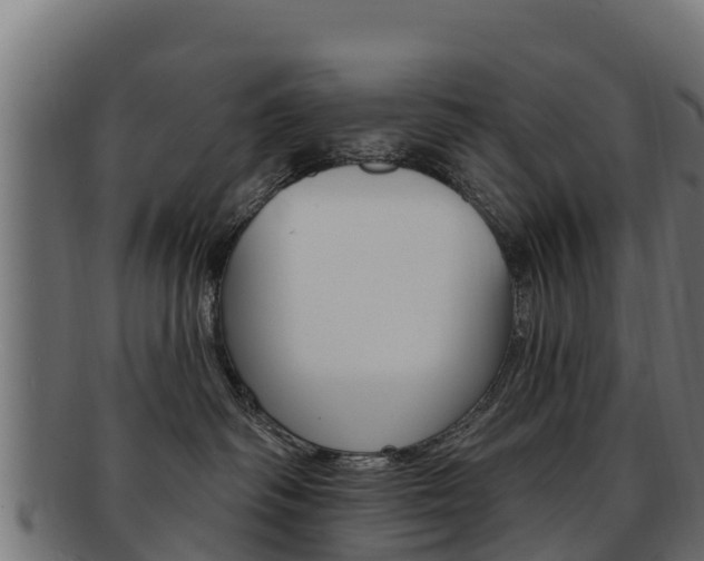 X0000092320334200709141055