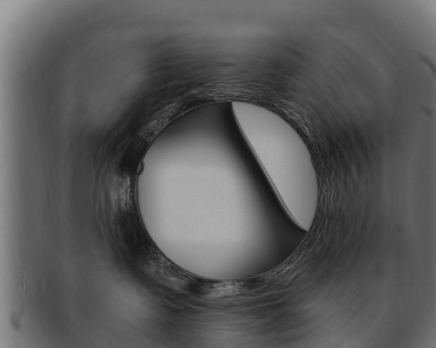 X0000092320335200709141055