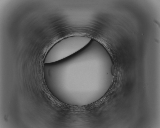 X0000092320337200709141055