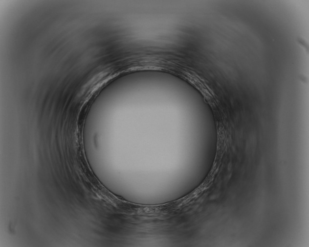 X0000092320338200709141055