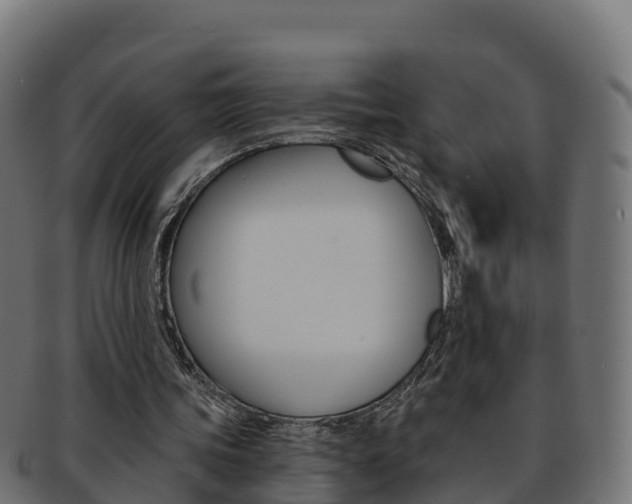 X0000092320339200709141055