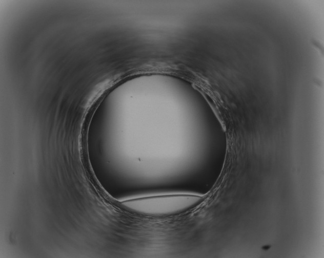 X0000092320340200709141055
