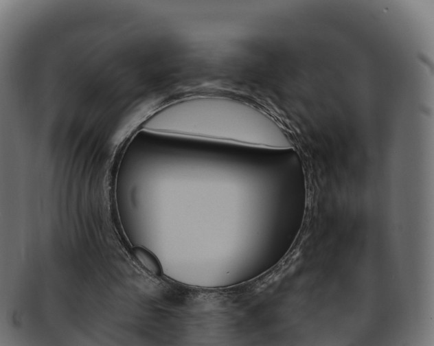 X0000092320341200709141055