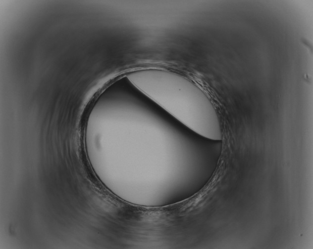 X0000092320342200709141055