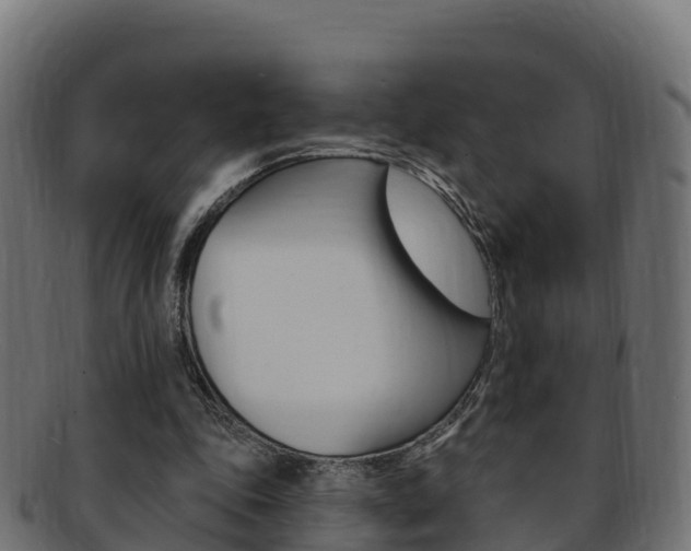 X0000092320343200709141055
