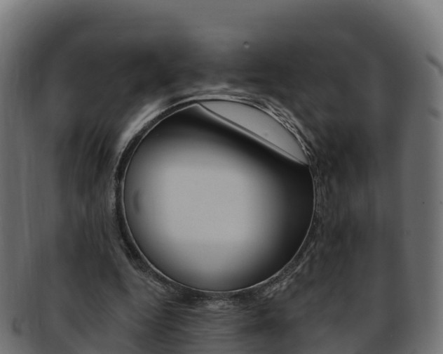 X0000092320344200709141055