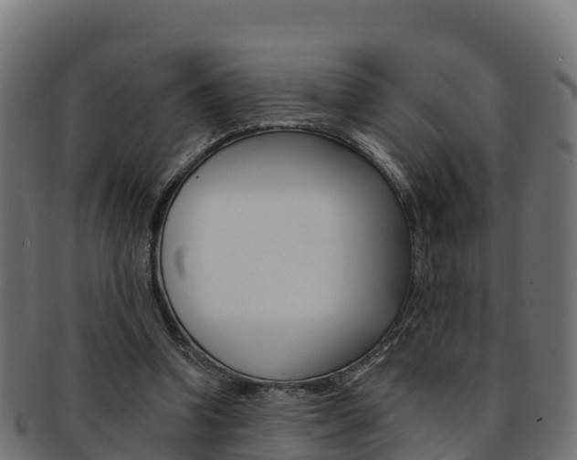 X0000092320346200709141055