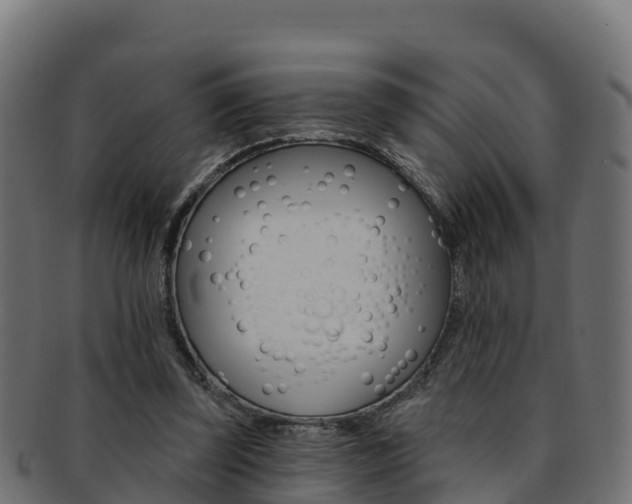 X0000092320347200709141055