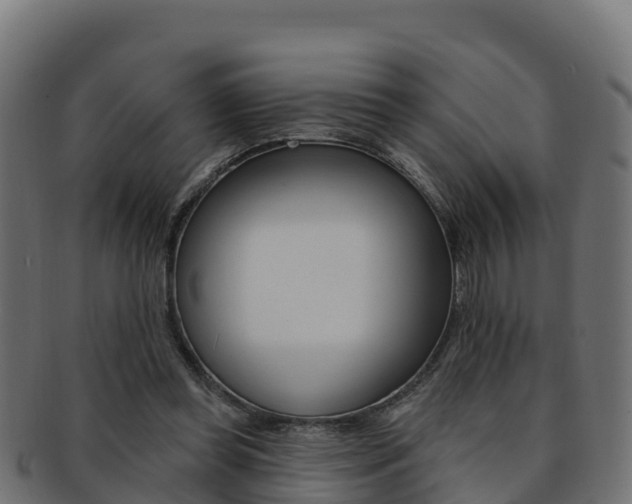 X0000092320349200709141055