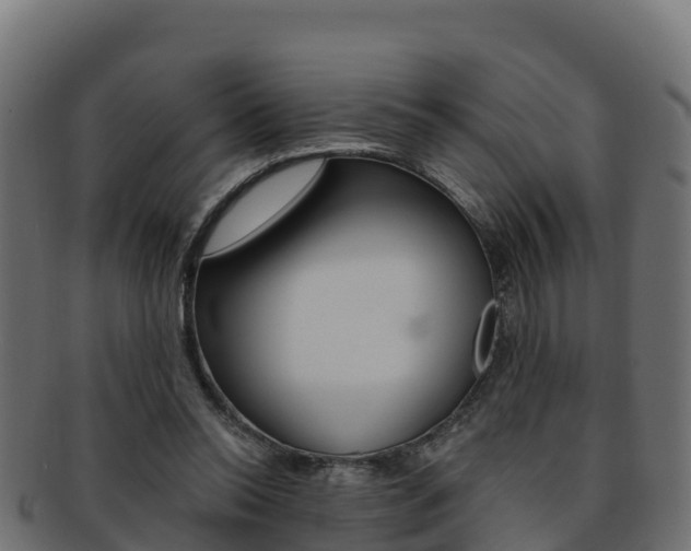 X0000092320350200709141055