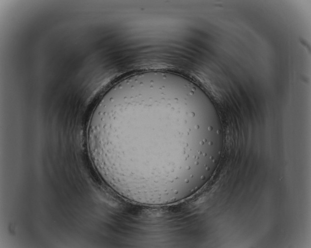 X0000092320351200709141055