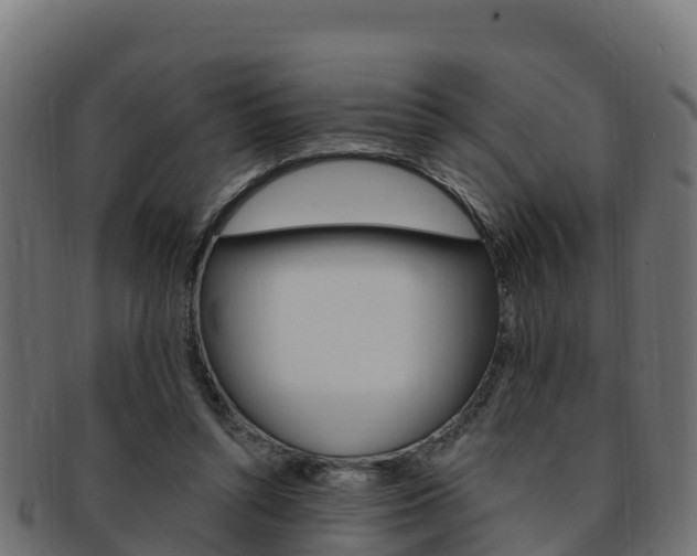 X0000092320352200709141055