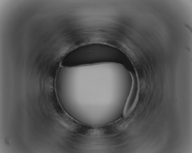 X0000092320356200709141055