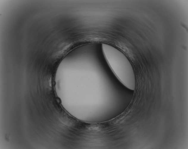X0000092320358200709141055