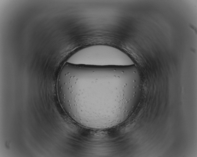 X0000092320359200709141055