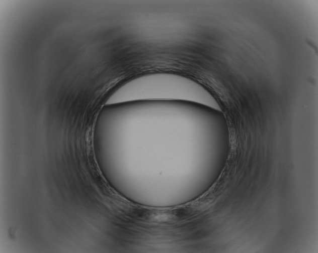X0000092320360200709141055
