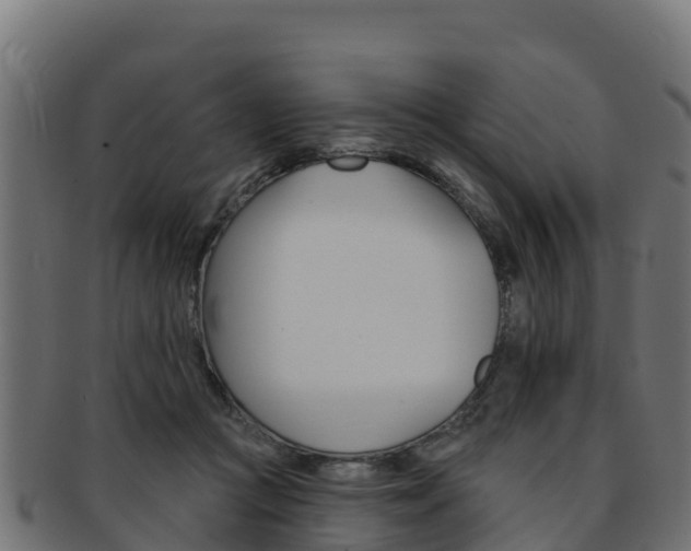 X0000092320361200709141055
