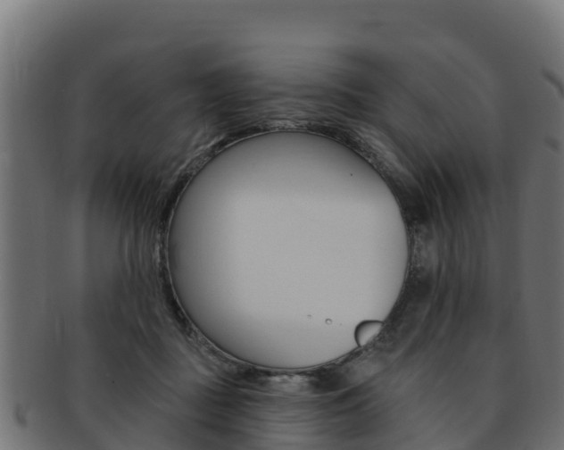 X0000092320363200709141055